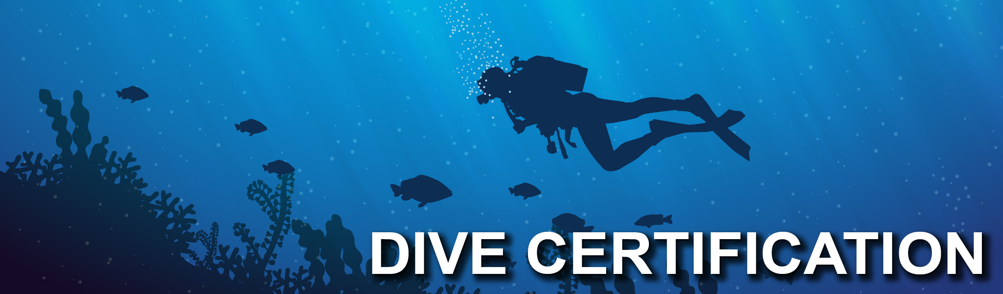 dive_certification.jpg